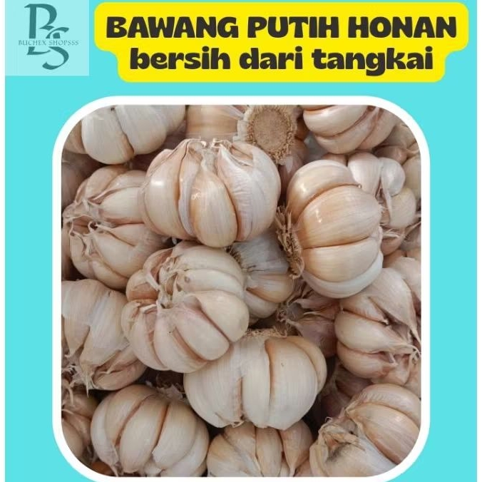 

Bawang Putih Honan Bulat Bersih dari tangkai