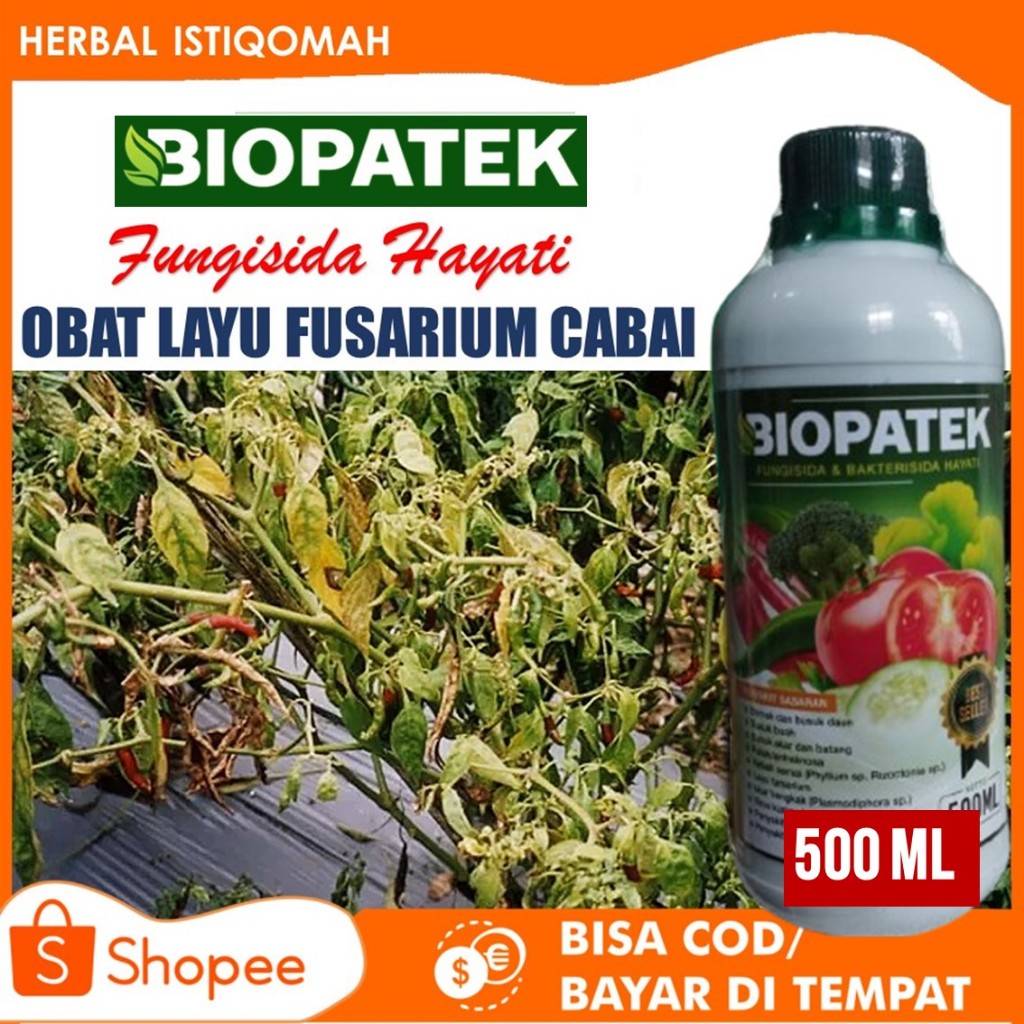 Obat Layu Fusarium Cabe BIOPATEK, Fungsida Hayati Atasi Layu Fusarium Pada Cabai Terbaik isi 500 ML