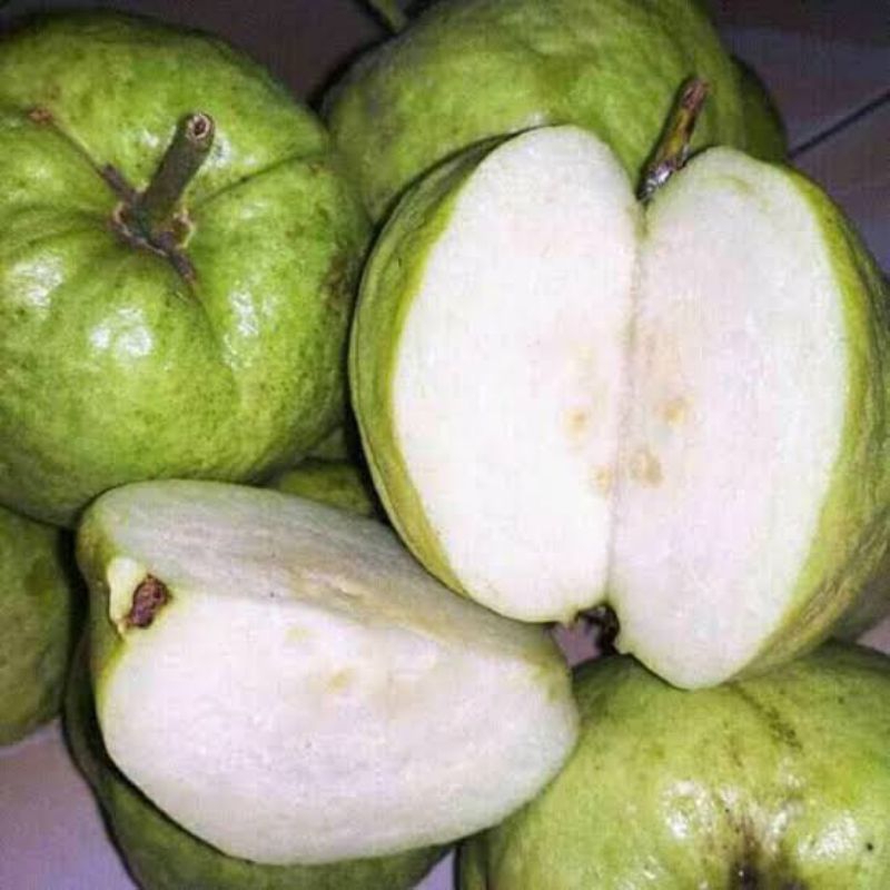 

JAMBU KRISTAL SEGAR 1KG