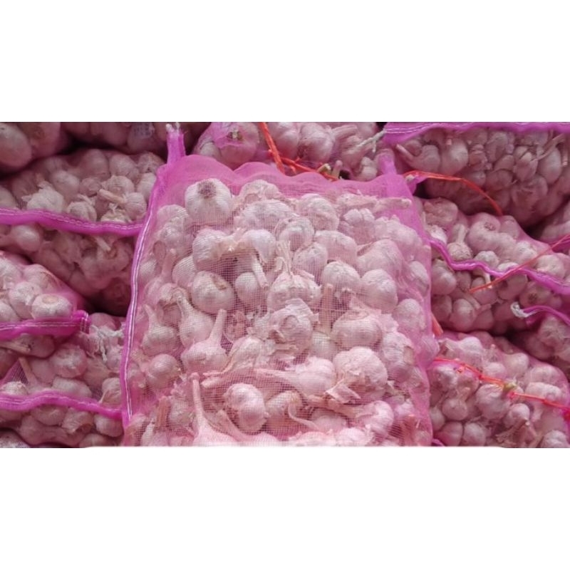 

bawang putih kating/500 gr