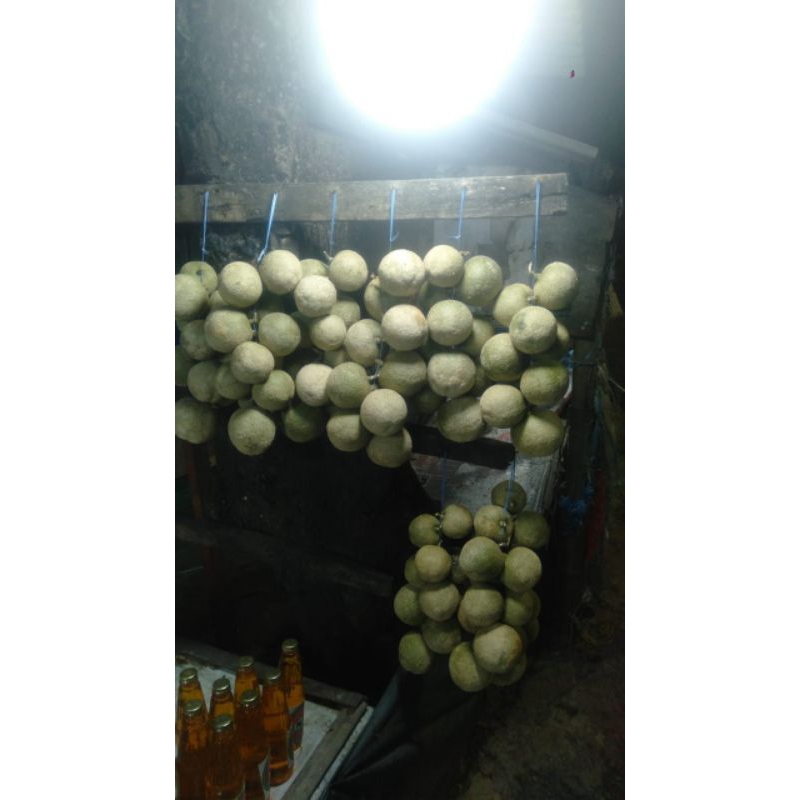

buah kawista 1kg mengkel/mentah