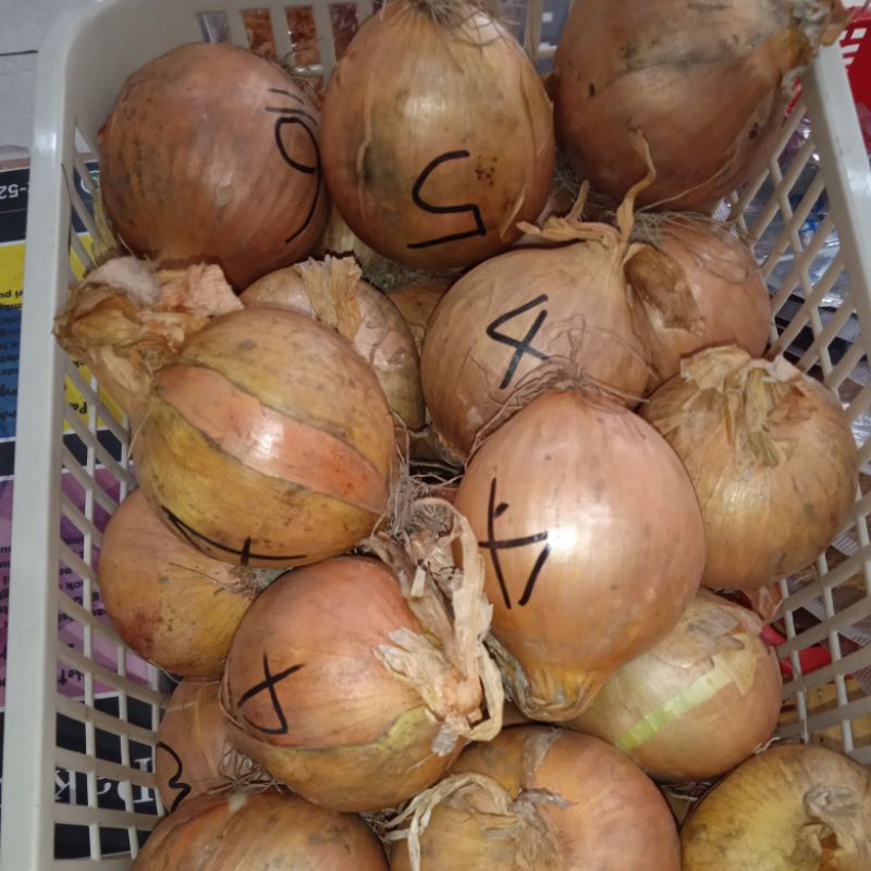 

bawang bombay