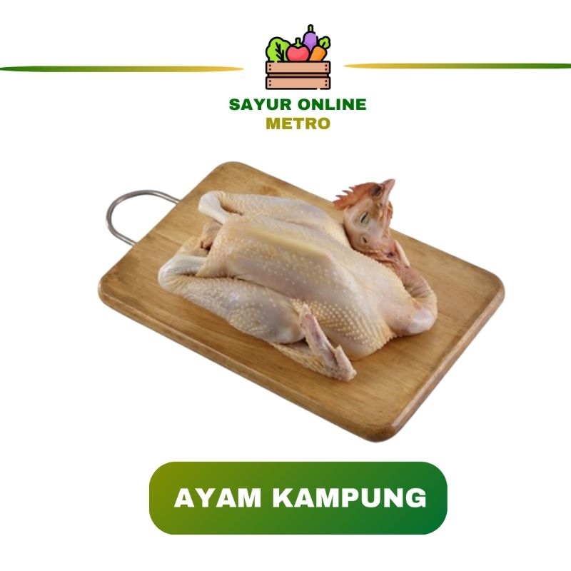 

Ayam Kampung 1 Ekor /fress - Sayur Online Lampung