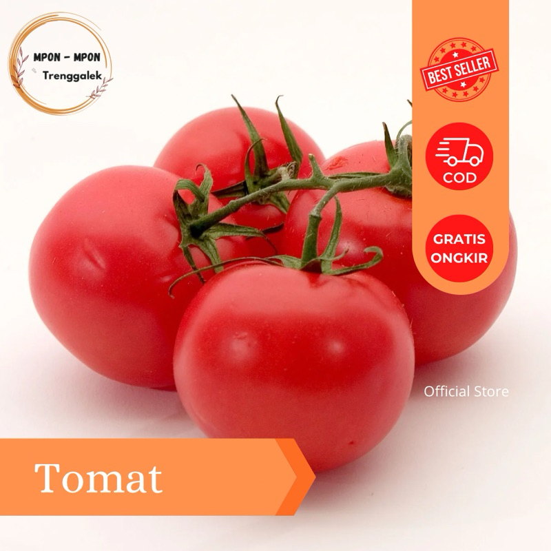 

Tomat Sayur Segar Bersih 250gr 500gr 1kg