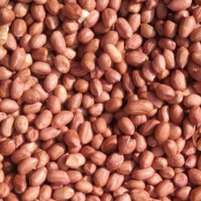 

Kacang Tanah Merah 1 kg ukuran 80/90