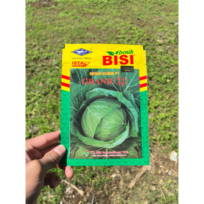 

KUBIS GRAND 22 KEMASAN 15 GRAM