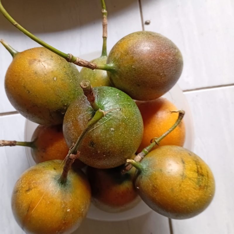 

jual 1 kg buah markisa madu /konyal madu super manis dan segar marasi