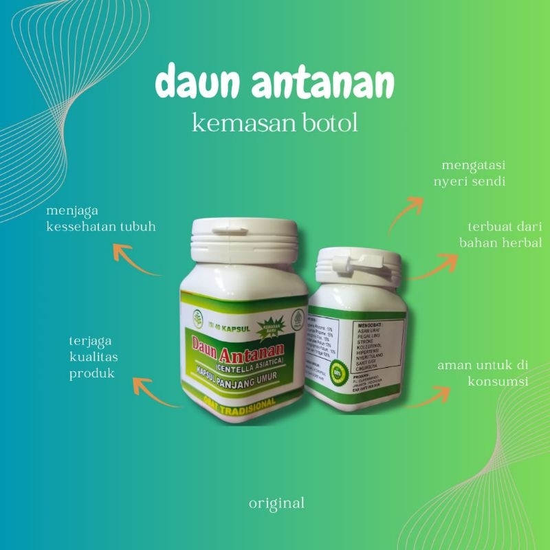 KAPSUL DAUN ANTANAN NEW KEMASAN BOTOL ORIGINAL