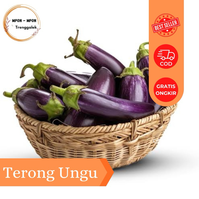 

Terong Ungu Panjang 1kg