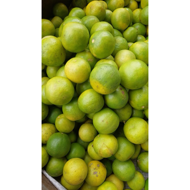 

Jeruk Nipis KUNING 1 kilogram / 1kg