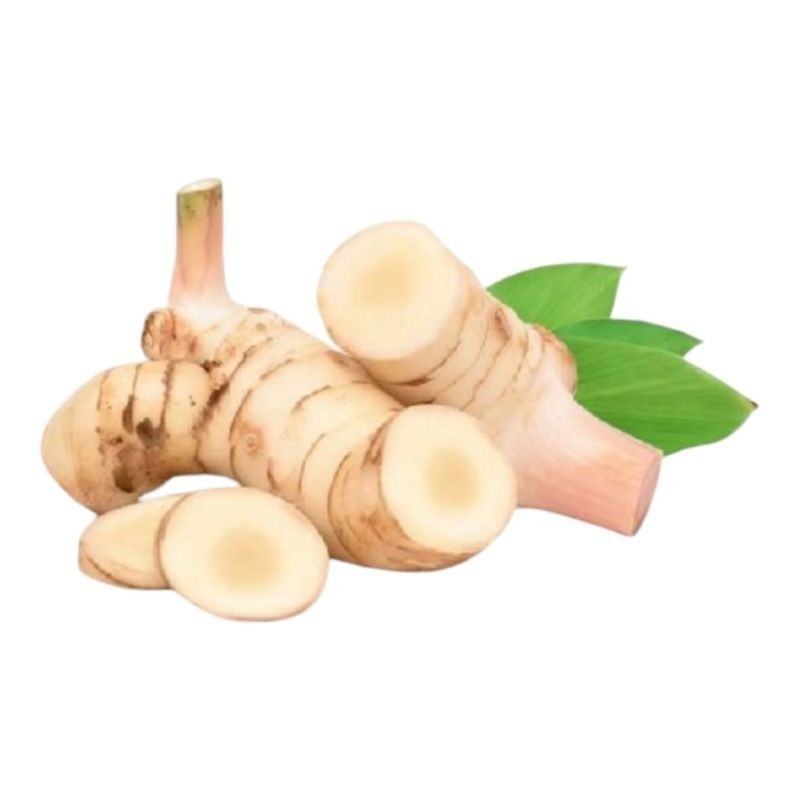 

Lengkuas Segar 1 kg - Laos Bumbu Dapur Fresh