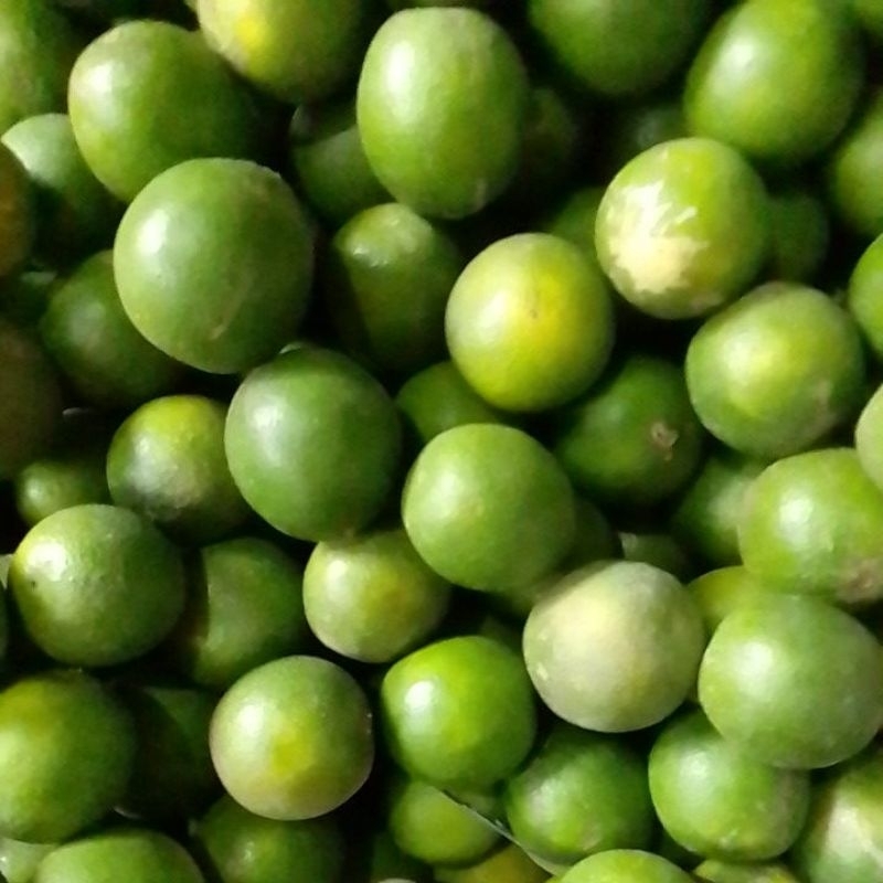 

Jeruk Baby Java Malang Fresh 3Kg