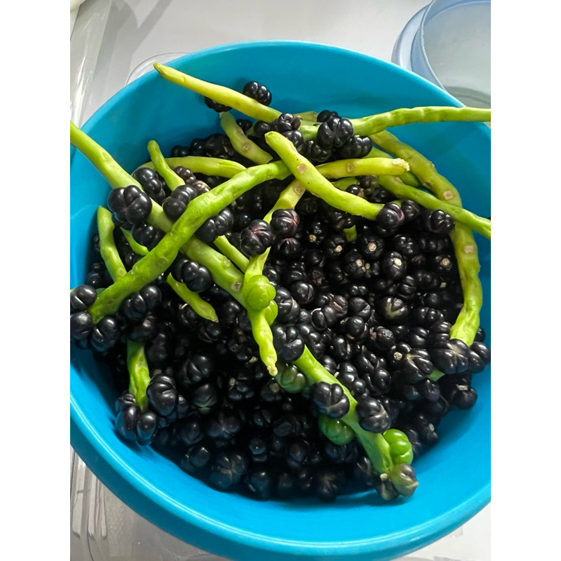 

buah ankung suplemen kesehatan herbal