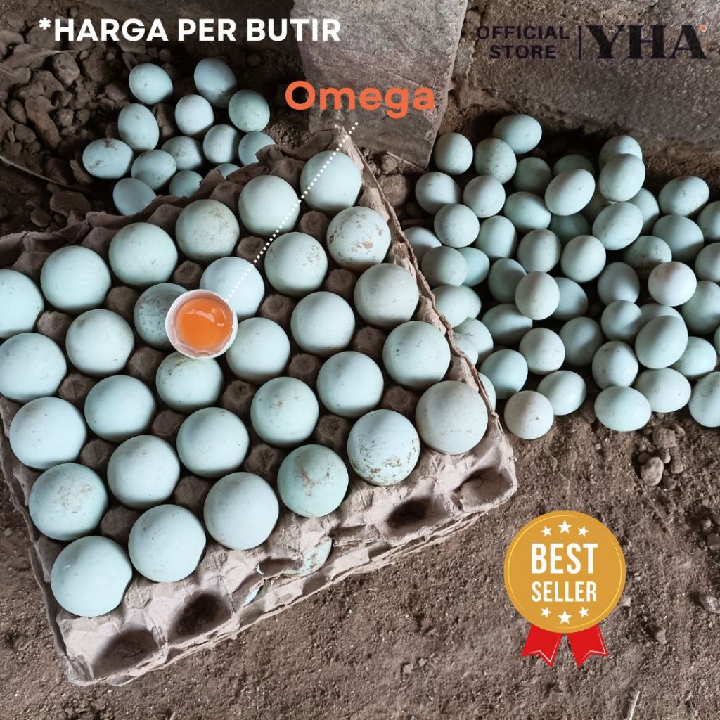 

[BISA COD] Telur Bebek Omega 3 Mentah Per Butir Ukuran Grade AB A