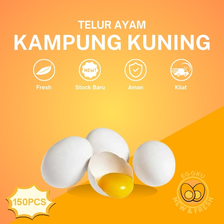 

(150 Butir) Telur Ayam Kampung KUNING New & Fresh