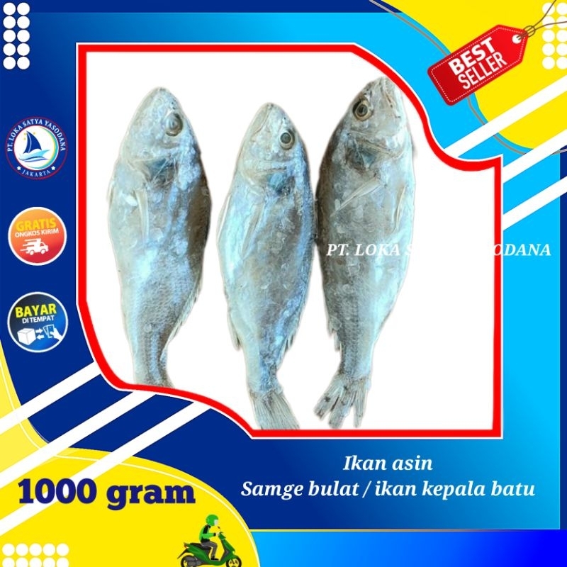 

ikan asin samge / kepala batu super 1000gram / 1 kg