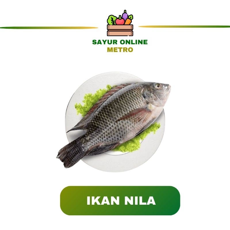 

Ikan Nila / Segar /fres / 500gr - Sayur Online Metro