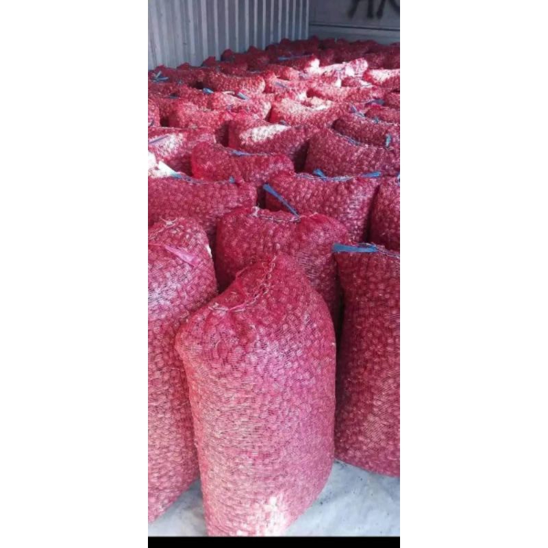 

(Promo 1 Kg) Bawang Merah Lokal Probolinggo Campur Besar Tanggung Kecil
