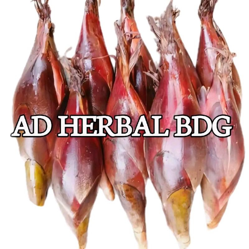 

Buah Galoba Pining Isi Per 1 Kg