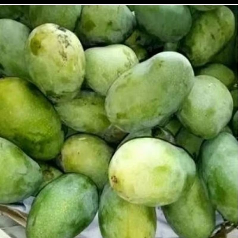 

Mangga Harumanis Arum Manis