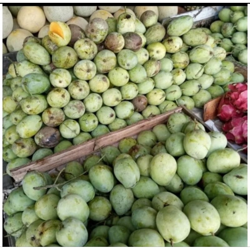 

Mangga Indramayu Segar