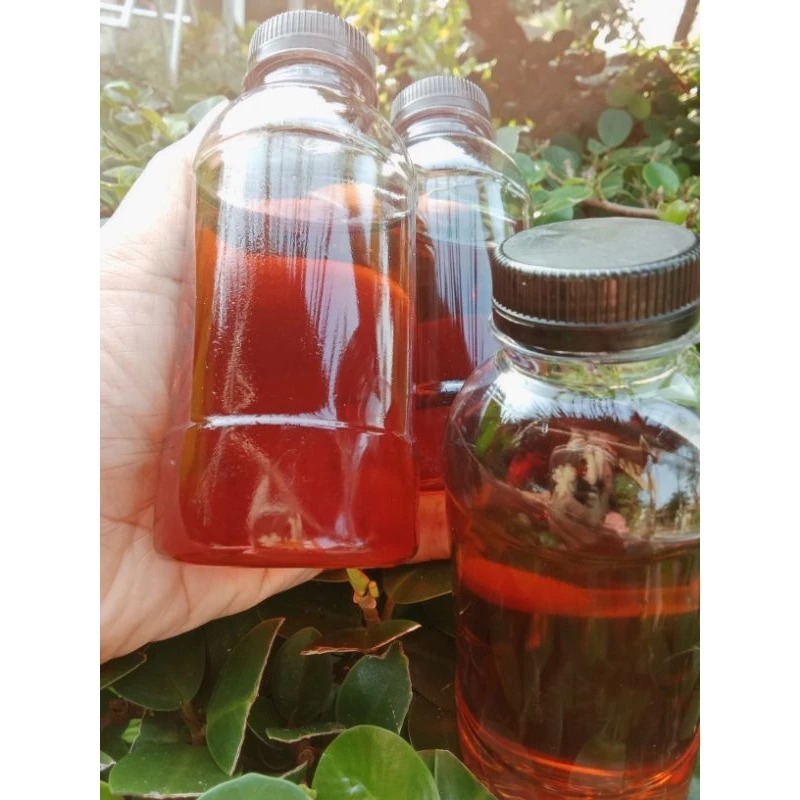 

Madu Ruqyah Iyan Guru Bonus Kulit Kijang