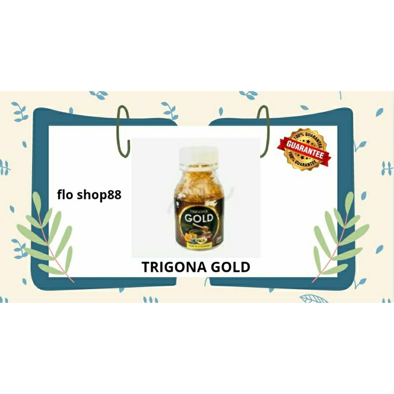 TRIGONA GOLD HABBATUSSADA / TRIGONA GOLD