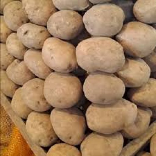 

Kentang Besar Berkualitas-Ukuran Jumbo Kulit Mulus,Cocok Untuk Kentang Goreng,Perkedel Dan Masakan Sehari hari