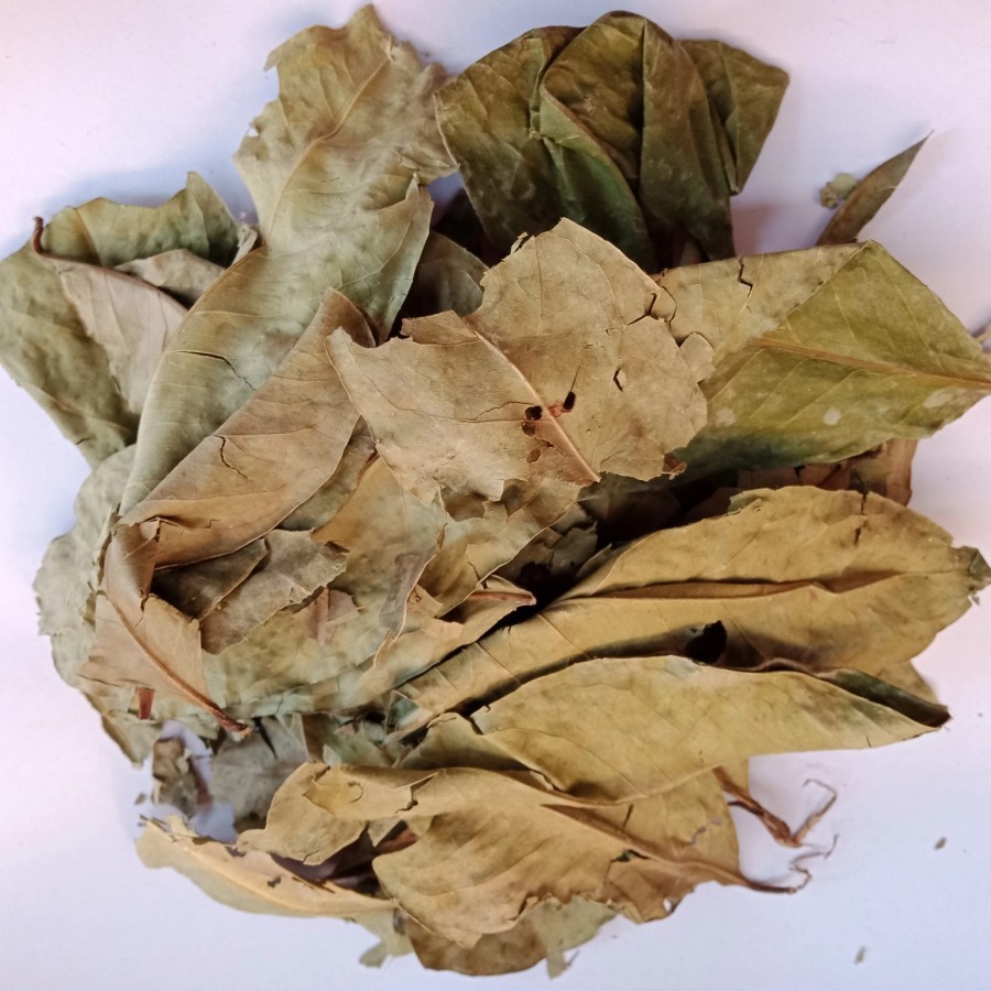 

Daun Salam Kering 250 Gram Daun Salam Kering 500gr Kualitas Bagus