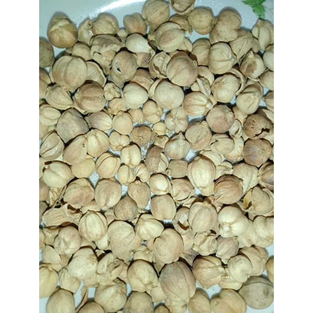 

Kapulogo 1 Kg Murah