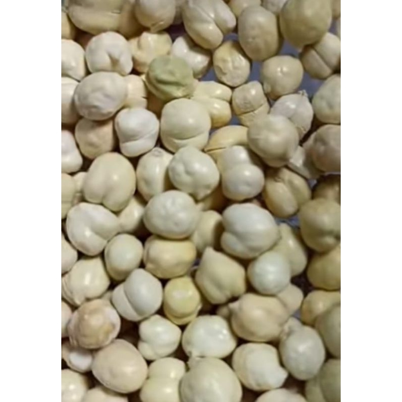 

kacang arab panggang
