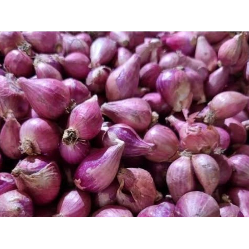 

bawang merah tanggung campur kecil 1 kg