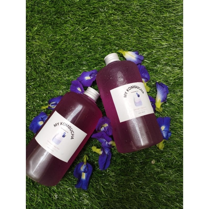 

KombuTelang (Kombucha Butterfly Pea Flowers)
