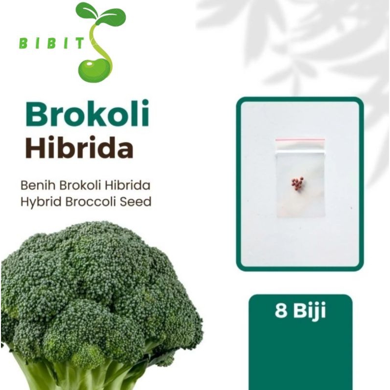 

8 Benih Brokoli Hibrida F1 Super Unggul Know You Seed Bibits