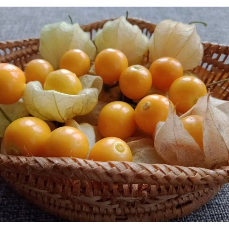 

Buah Ciplukan golden berry 100gram/pack