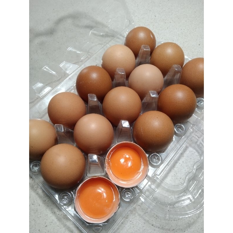 

TELUR OMEGA 3