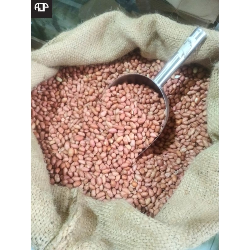 

Kacang Tanah | 500 gr 1000 gr