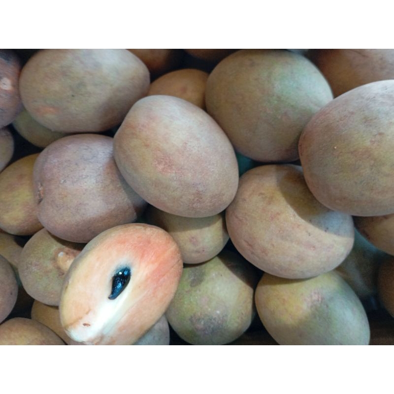 

Buah Sawo matang manis