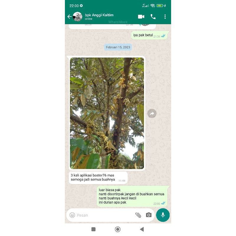 [ORIGINAL] Booster 76 Hormon Pembuahan & Pembungaan