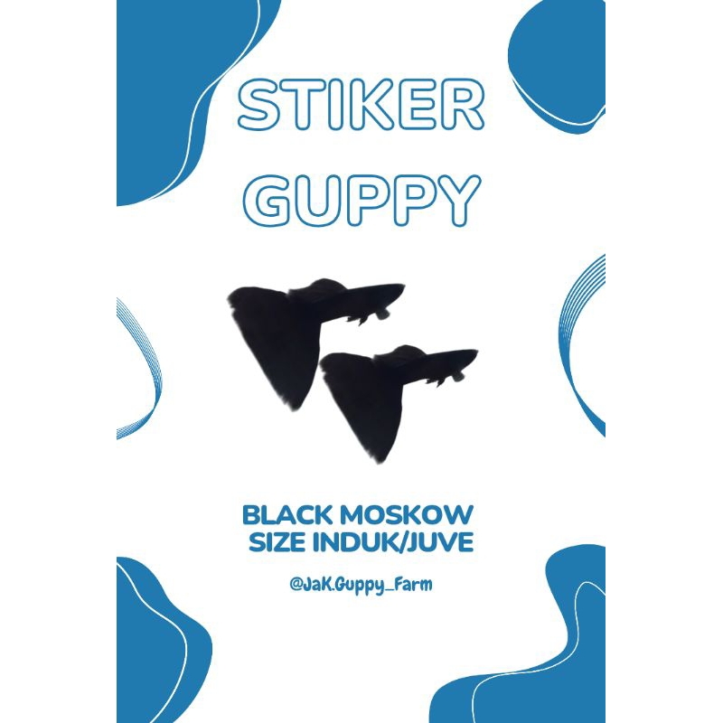 Stiker Guppy Black Moscow