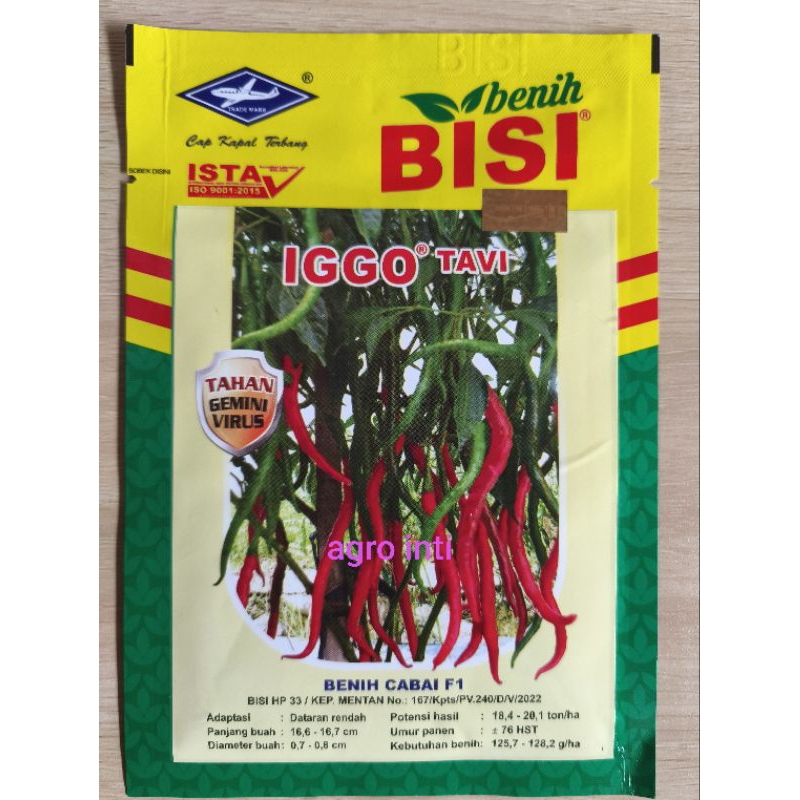 Benih bibit cabe hibrida IGGO TAVI isi 10gram
