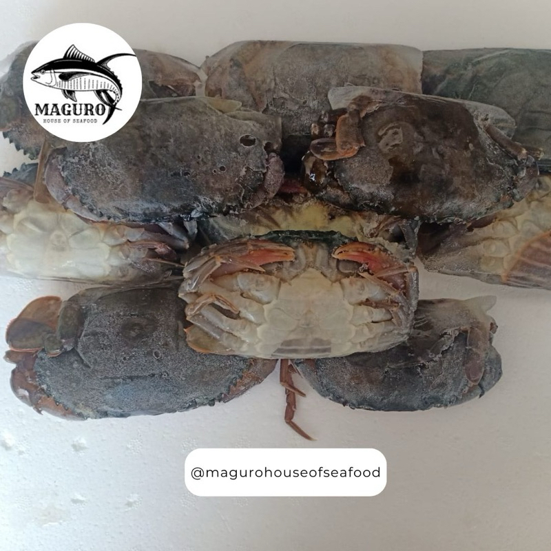 

Kepiting Soka Non Glazing