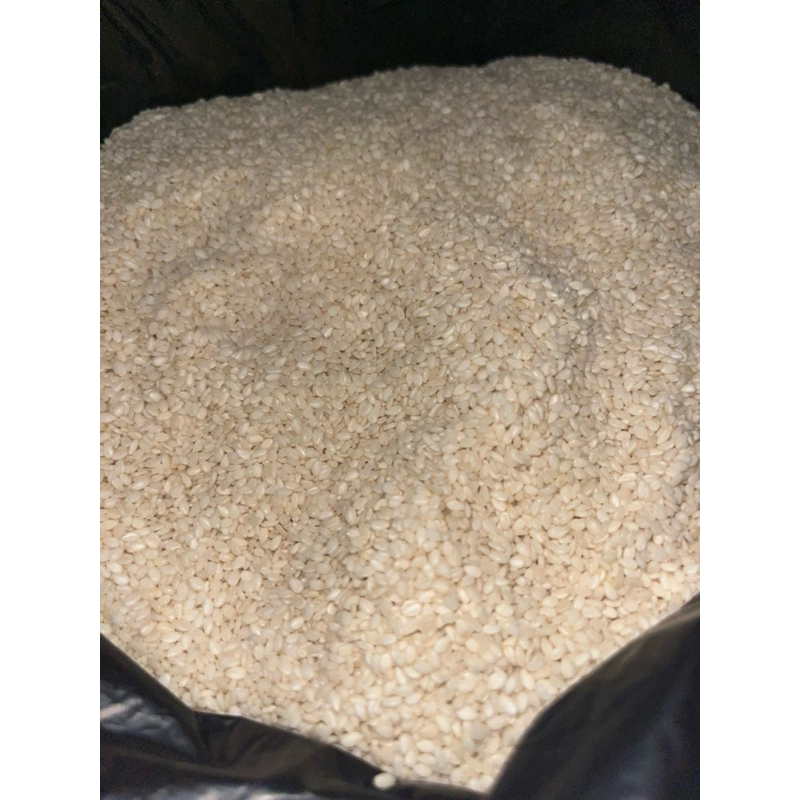 

WIJEN PUTIH MURAH 1KG