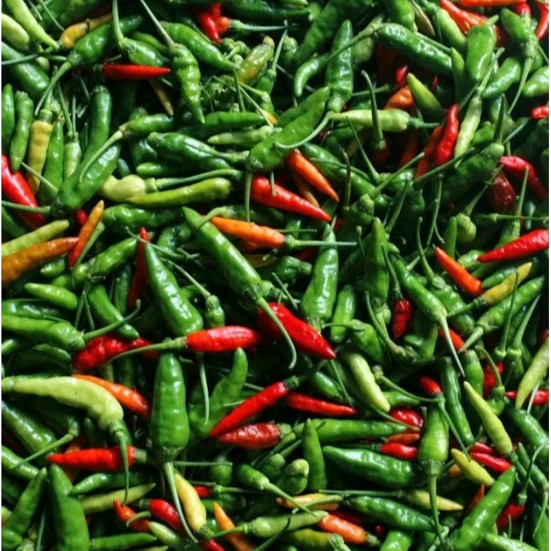 

COD 500 gram Cabai Rawit Segar / Cabe Rawit Segar alami / COD ½ kg Fresh Cayenne Pepper
