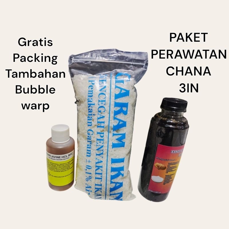 Perawatan chana 3in / perawatan ikan chana / perawatan ikan chana lengkap / perawatan chana / perawa