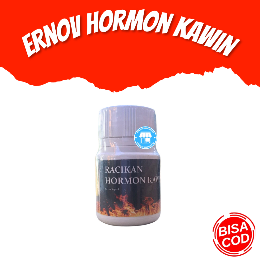 ERNOV Obat ayam Bangkok Obat Ayam Ernov Hormon Kawin Ayam Bangkok Aduan