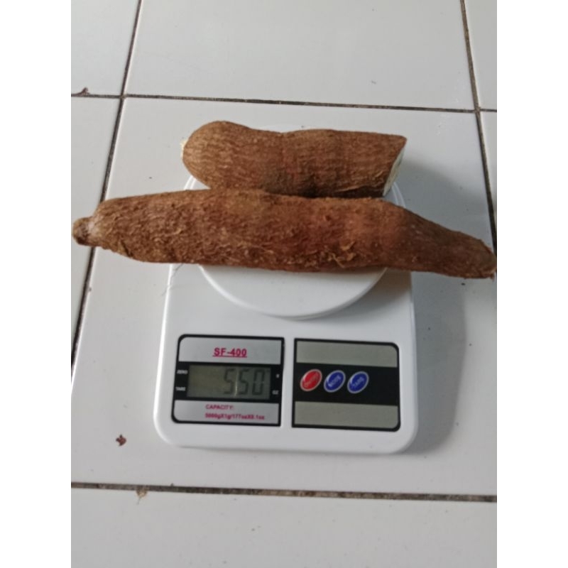 

Singkong Enak Muda Segar 500 g