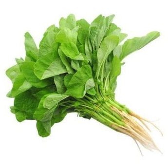 

Sayur Daun Bayam Hijau Segar Setiap Hari — Ammaryllis Sayur Segar