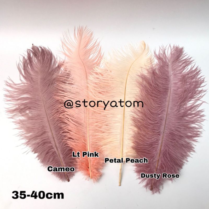 PER 1 HELAI - SIZE 35CM - 40CM / BULU DEKORASI BIJIAN / BULU OSTRICH BIJIAN / BULU HIASAN