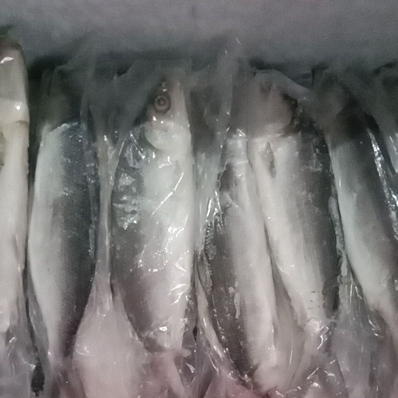 

Bandeng Frozen Premium 250g - Tanpa Duri, Siap masak